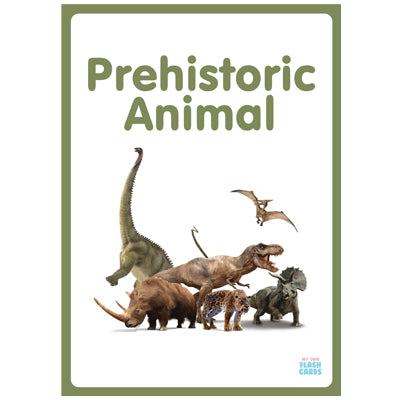 My Own Flash Cards - Prehistoric Animal