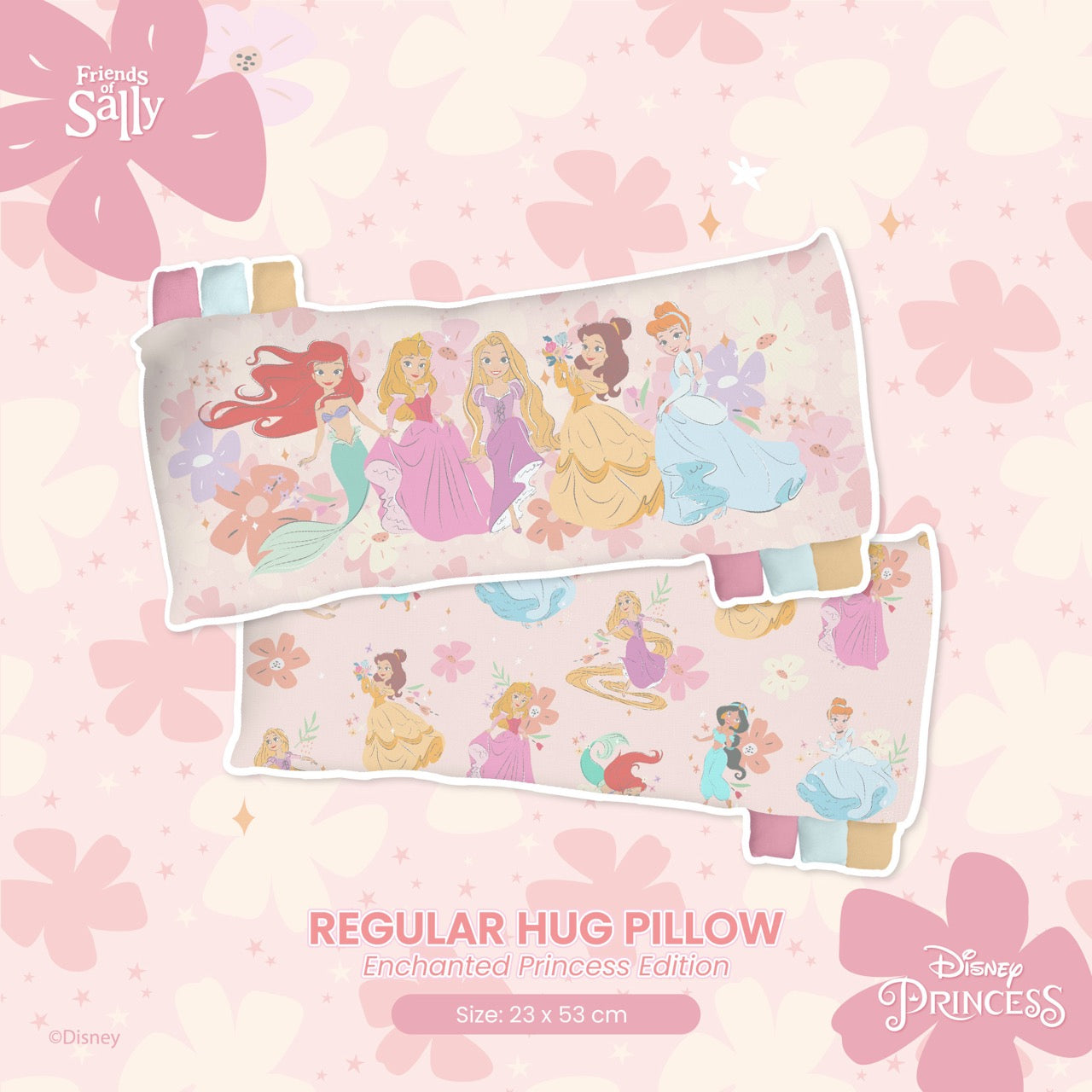 Friends of Sally Hug Pillow Case - Disney Enchanted Princess