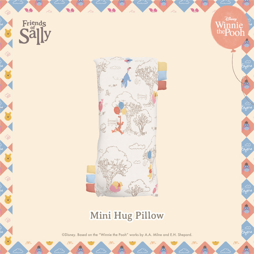 Friends of Sally Hug Pillow Case - Winnie the Pooh