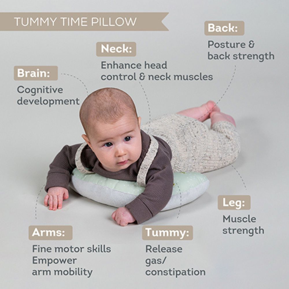 Taf Toys Tummy-Time Essentials Kit