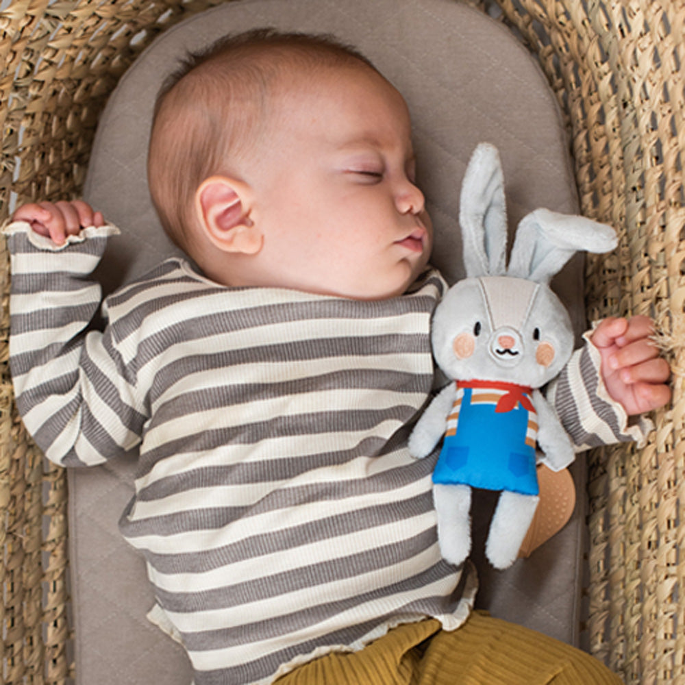 Taf Toys Rylee the Bunny – Paveels