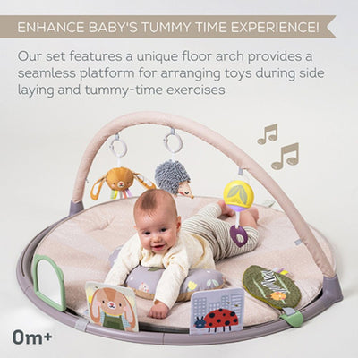 Taf Toys Tummy-Time Activity Gym