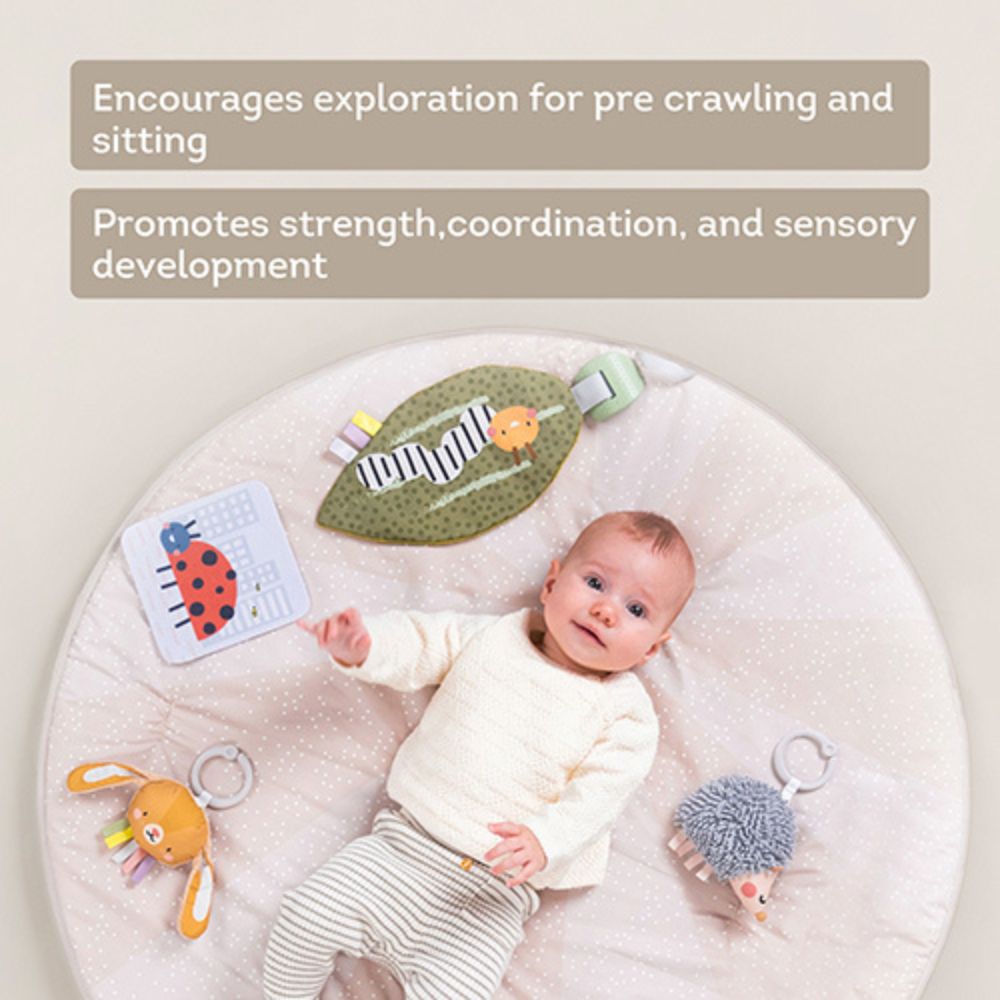 Taf Toys Tummy-Time Activity Gym