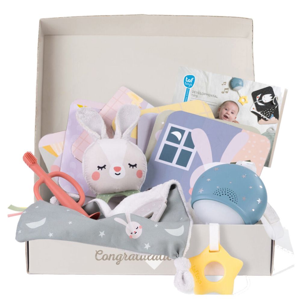 Taf Toys Bedtime Kit