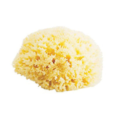 Bellini Natural Sea Sponge Honeycomb