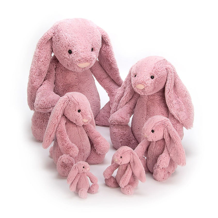 Jellycat Bashful Tulip Pink Bunny – Paveels