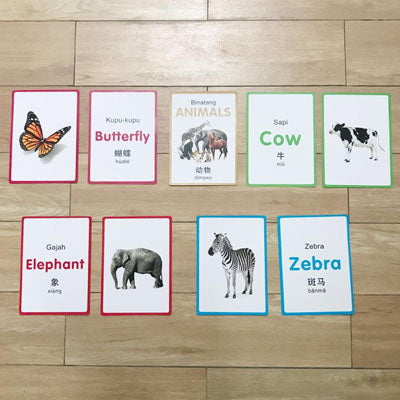 My Own Flash Cards - Animals