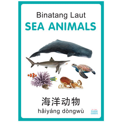 My Own Flash Cards - Sea Animals