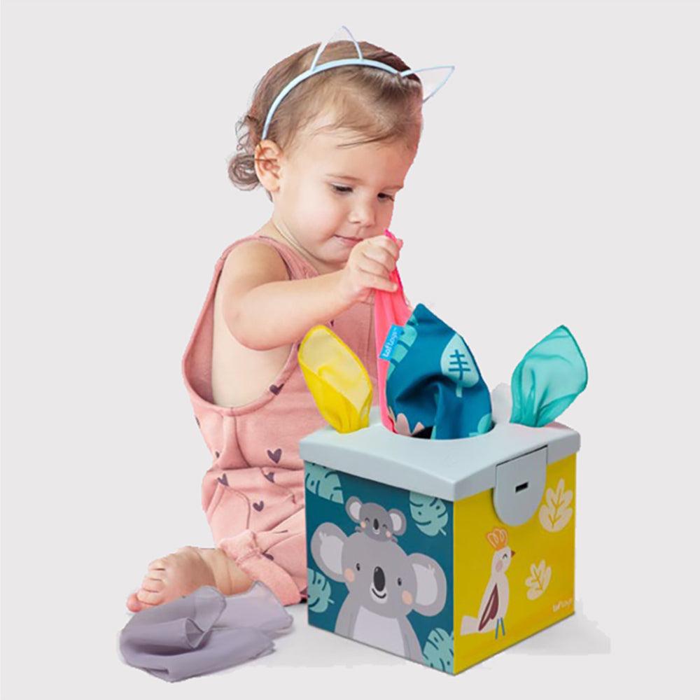 Taf Toys Tissue Wonder Box