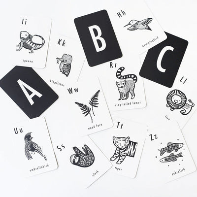 Wee Gallery Alphabet Cards - Jungle